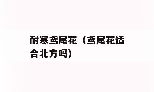 耐寒鸢尾花（鸢尾花适合北方吗)