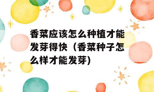 香菜应该怎么种植才能发芽得快（香菜种子怎么样才能发芽)