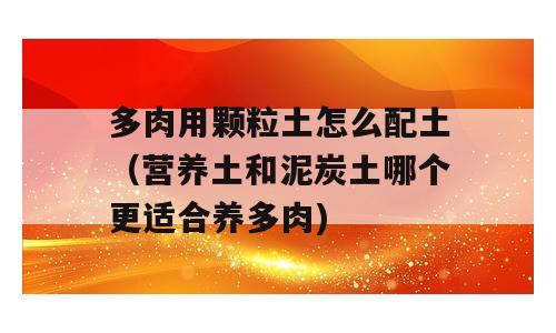 多肉用颗粒土怎么配土（营养土和泥炭土哪个更适合养多肉)