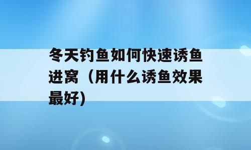 冬天钓鱼如何快速诱鱼进窝（用什么诱鱼效果最好)