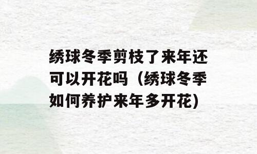 绣球冬季剪枝了来年还可以开花吗（绣球冬季如何养护来年多开花)