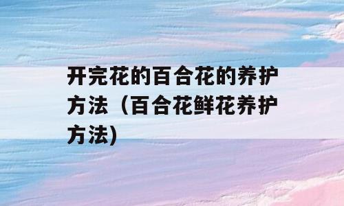 开完花的百合花的养护方法（百合花鲜花养护方法)