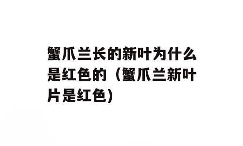 蟹爪兰长的新叶为什么是红色的（蟹爪兰新叶片是红色)