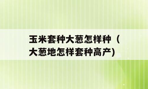 玉米套种大葱怎样种（大葱地怎样套种高产)