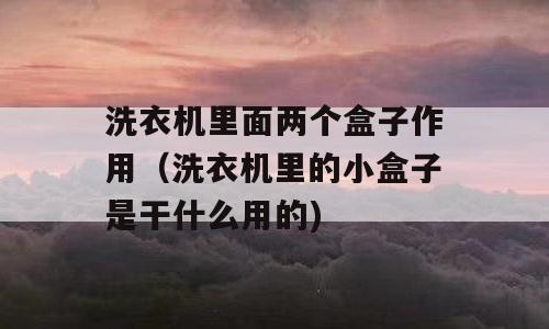 洗衣机里面两个盒子作用（洗衣机里的小盒子是干什么用的)