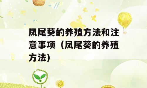 凤尾葵的养殖方法和注意事项（凤尾葵的养殖方法)