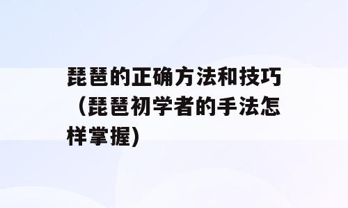 琵琶的正确方法和技巧（琵琶初学者的手法怎样掌握)