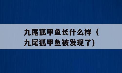 九尾狐甲鱼长什么样（九尾狐甲鱼被发现了)
