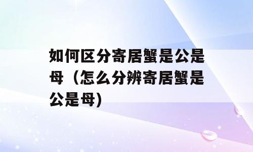 如何区分寄居蟹是公是母（怎么分辨寄居蟹是公是母)