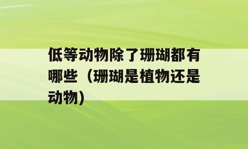 低等动物除了珊瑚都有哪些（珊瑚是植物还是动物)