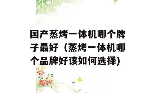 国产蒸烤一体机哪个牌子最好（蒸烤一体机哪个品牌好该如何选择)