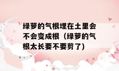 绿萝的气根埋在土里会不会变成根（绿萝的气根太长要不要剪了)