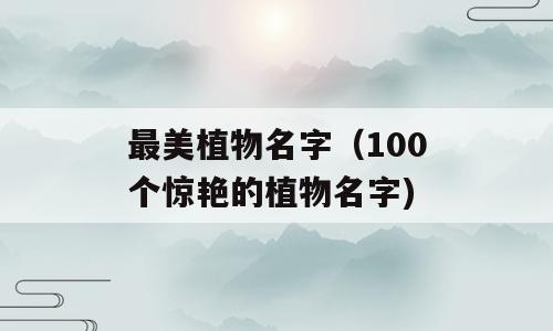 最美植物名字（100个惊艳的植物名字)