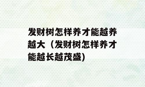 发财树怎样养才能越养越大（发财树怎样养才能越长越茂盛)