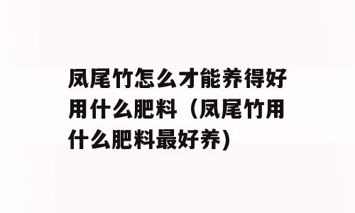 凤尾竹怎么才能养得好用什么肥料（凤尾竹用什么肥料最好养)