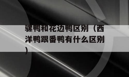 骡鸭和花边鸭区别（西洋鸭跟番鸭有什么区别)