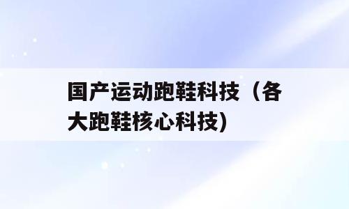 国产运动跑鞋科技（各大跑鞋核心科技)