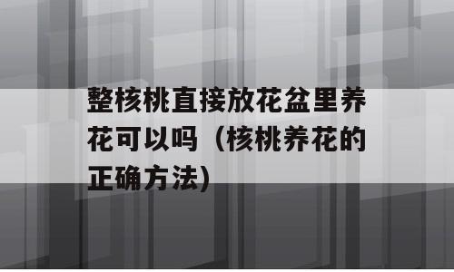 整核桃直接放花盆里养花可以吗（核桃养花的正确方法)