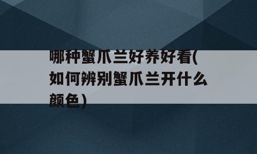 哪种蟹爪兰好养好看(如何辨别蟹爪兰开什么颜色)