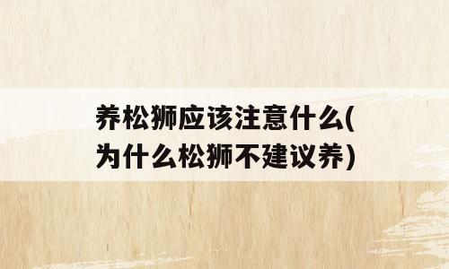 养松狮应该注意什么(为什么松狮不建议养)