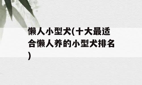 懒人小型犬(十大最适合懒人养的小型犬排名)