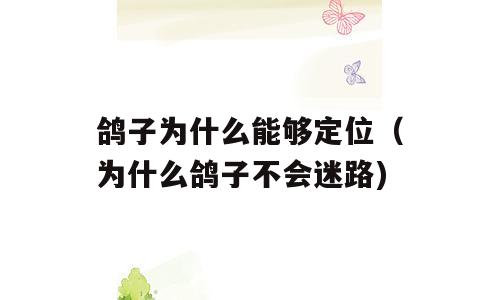 鸽子为什么能够定位（为什么鸽子不会迷路)
