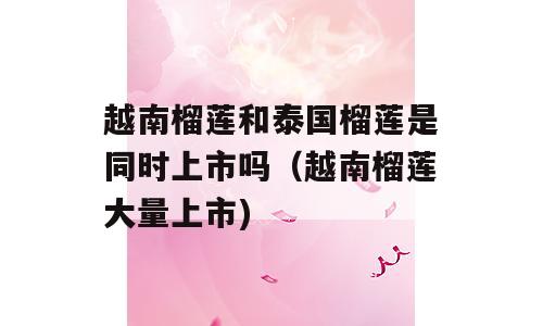 越南榴莲和泰国榴莲是同时上市吗（越南榴莲大量上市)