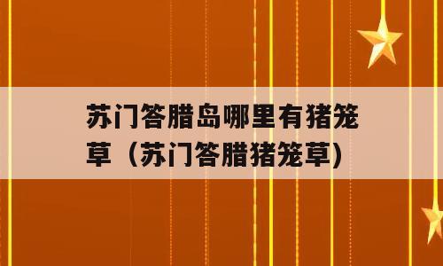苏门答腊岛哪里有猪笼草（苏门答腊猪笼草)
