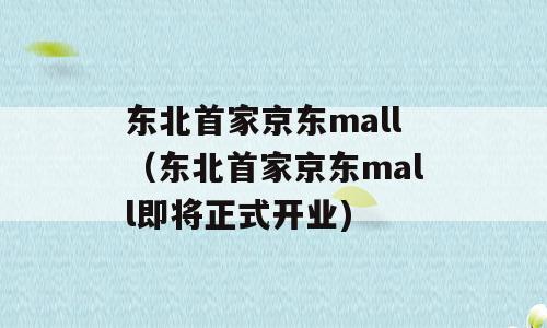 东北首家京东mall（东北首家京东mall即将正式开业)