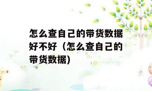 怎么查自己的带货数据好不好（怎么查自己的带货数据)