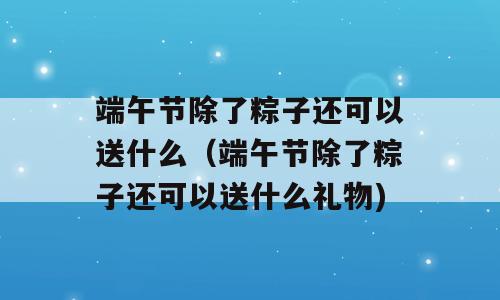 端午节除了粽子还可以送什么（端午节除了粽子还可以送什么礼物)