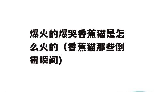 爆火的爆哭香蕉猫是怎么火的（香蕉猫那些倒霉瞬间)