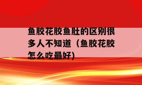 鱼胶花胶鱼肚的区别很多人不知道（鱼胶花胶怎么吃最好)