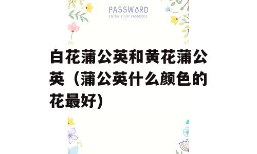 白花蒲公英和黄花蒲公英（蒲公英什么颜色的花最好)