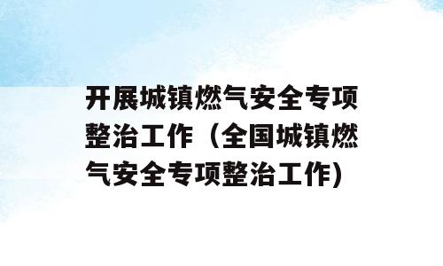 开展城镇燃气安全专项整治工作（全国城镇燃气安全专项整治工作)