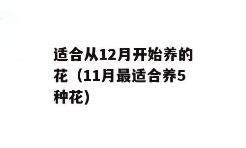 适合从12月开始养的花（11月最适合养5种花)