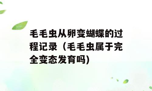 毛毛虫从卵变蝴蝶的过程记录（毛毛虫属于完全变态发育吗)