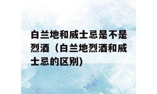 白兰地和威士忌是不是烈酒（白兰地烈酒和威士忌的区别)
