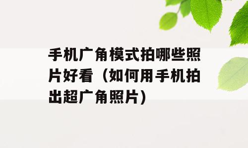 手机广角模式拍哪些照片好看（如何用手机拍出超广角照片)