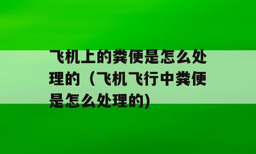 飞机上的粪便是怎么处理的（飞机飞行中粪便是怎么处理的)