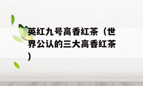 英红九号高香红茶（世界公认的三大高香红茶)