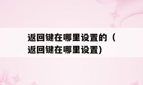 返回键在哪里设置的（返回键在哪里设置)