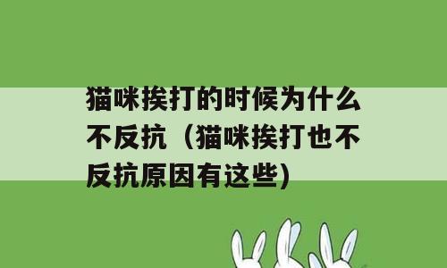 猫咪挨打的时候为什么不反抗（猫咪挨打也不反抗原因有这些)