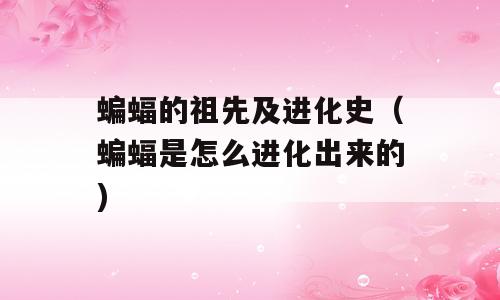 蝙蝠的祖先及进化史（蝙蝠是怎么进化出来的)