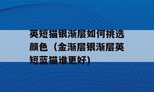 英短猫银渐层如何挑选颜色（金渐层银渐层英短蓝猫谁更好)