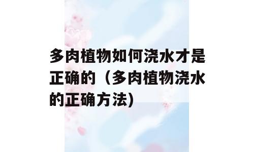 多肉植物如何浇水才是正确的（多肉植物浇水的正确方法)