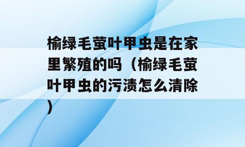 榆绿毛萤叶甲虫是在家里繁殖的吗（榆绿毛萤叶甲虫的污渍怎么清除)