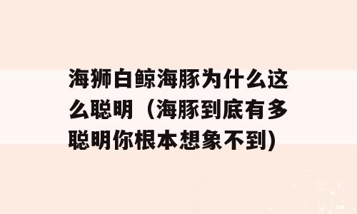 海狮白鲸海豚为什么这么聪明（海豚到底有多聪明你根本想象不到)