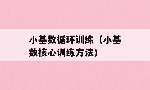小基数循环训练（小基数核心训练方法)