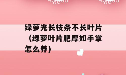 绿萝光长枝条不长叶片（绿萝叶片肥厚如手掌怎么养)